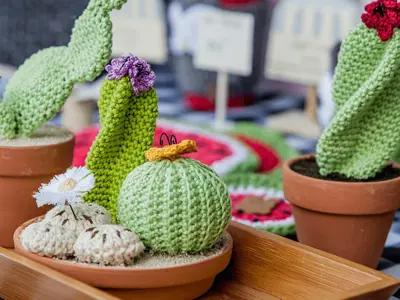 table with crochet cactuses on display