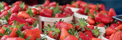 bushels of strawberries